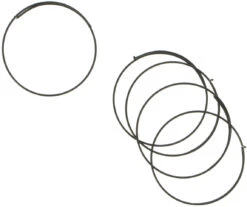 Campagnolo® Sperrklinkenfedern Für Record Nabe / Laufräder Ab 1999