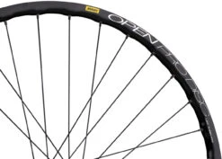 Delux 12 + Open Pro UST Disc + Sapim Race 28" Laufrad 8 Delux 12 + Open Pro UST Disc + Sapim Race 28" Laufrad -Bike-Components 210125